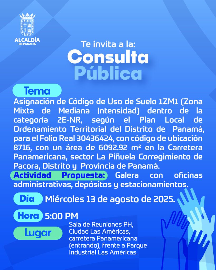 13-de-agosto-consulta-p-2025ai-01-1-819x1024