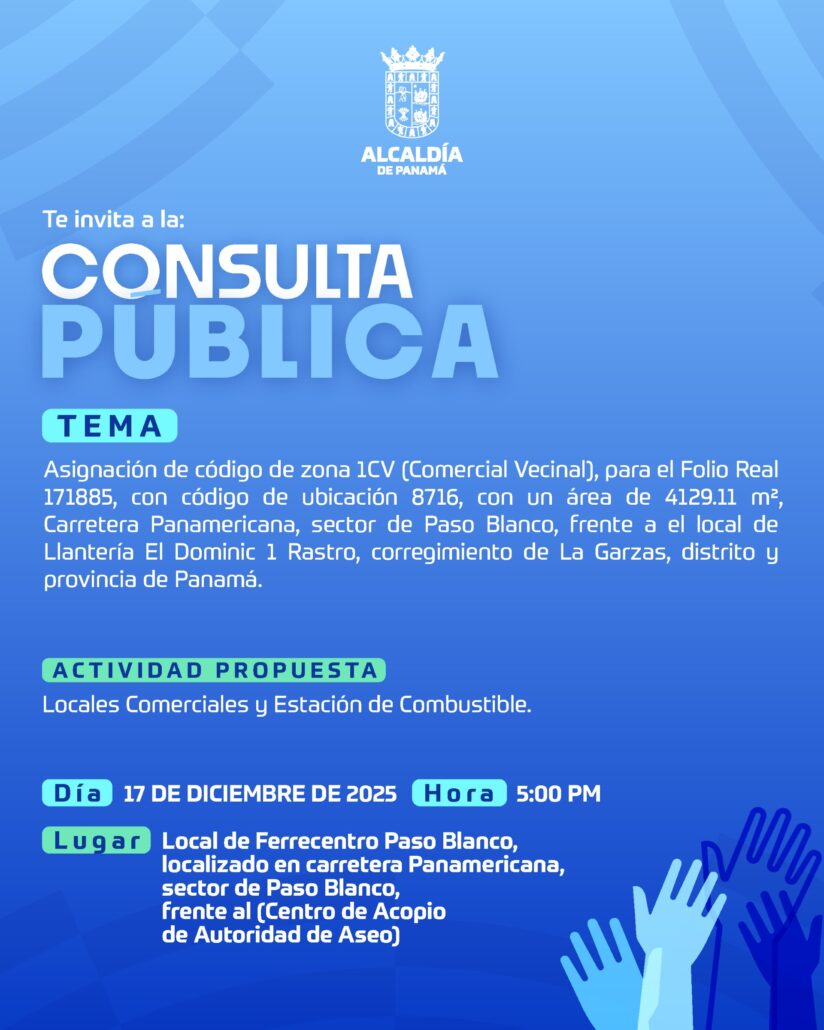 thumbnail_17DIC_CONSULTA PUBLICA - POST