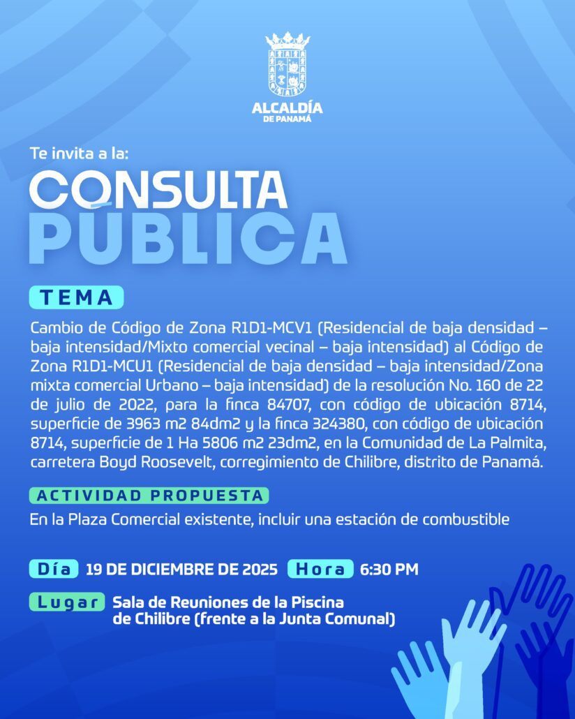 thumbnail_19DIC_CONSULTA PUBLICA - POST