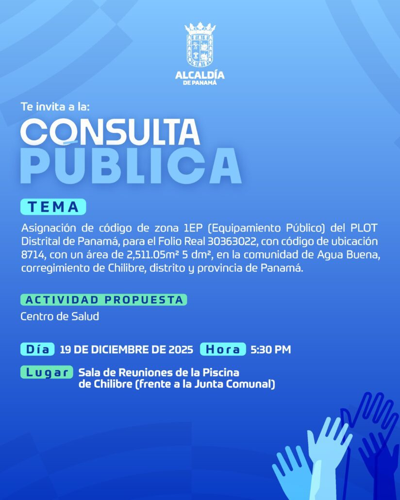 thumbnail_19DIC_CONSULTA PUBLICA - POST B